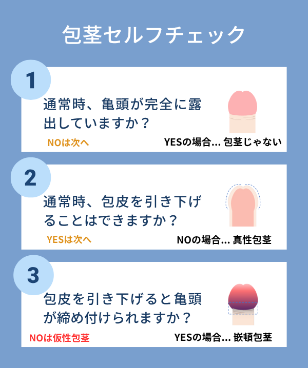 ”包茎セルフチェック"