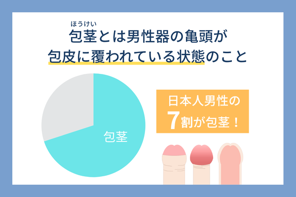 包茎とは男性器の亀頭が包皮に覆われている状態のことで日本人の7割が該当