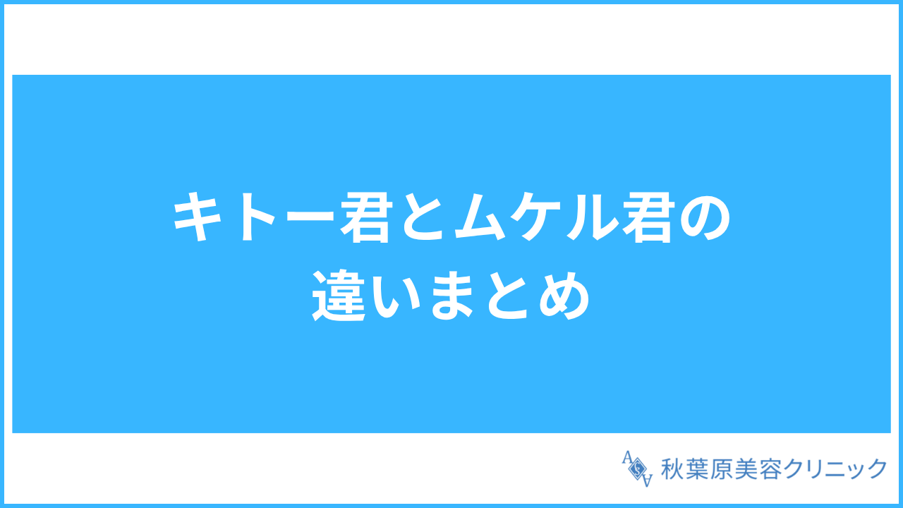 大見出し直下画像 キトー君とムケル君の違いまとめ