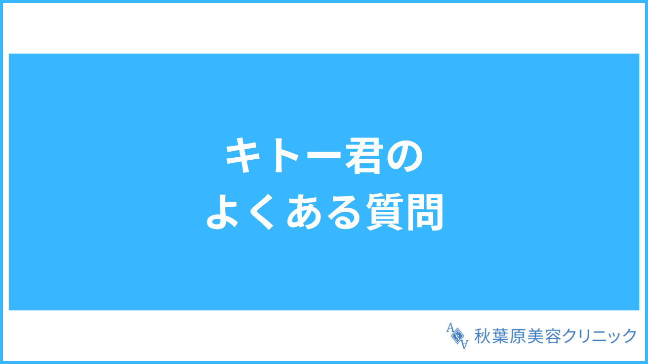 大見出し直下画像 キトー君のよくある質問