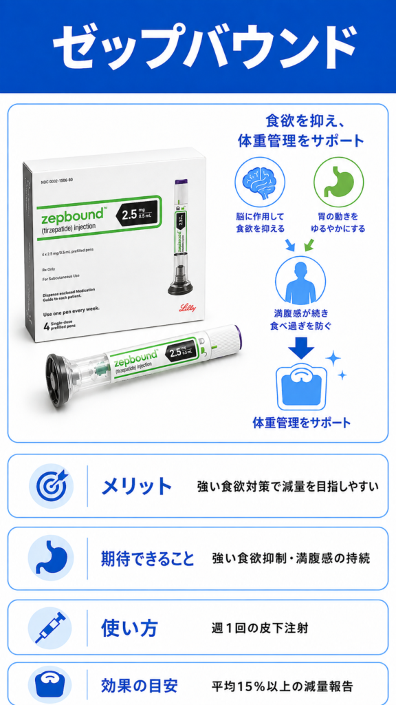 ゼップバウンド 解説画像