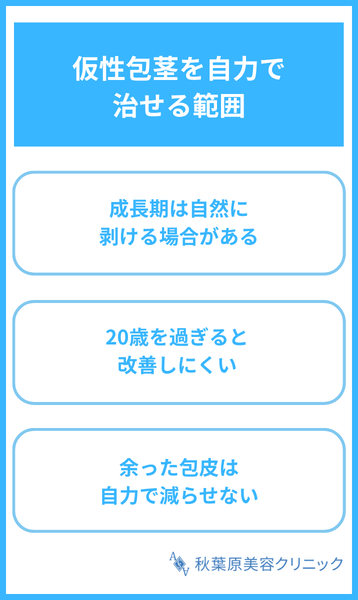 大見出し直下画像 仮性包茎を自力で治せる範囲