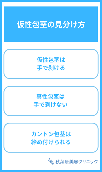 大見出し直下画像 仮性包茎の見分け方